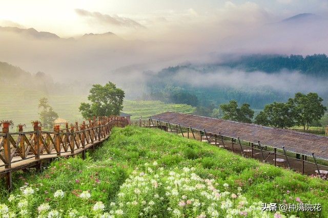 网络信息带来的利与弊,如何看待网络信息焦虑