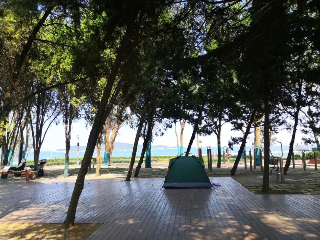 春天里的第一场露营安排,春天的第一次露营开始了