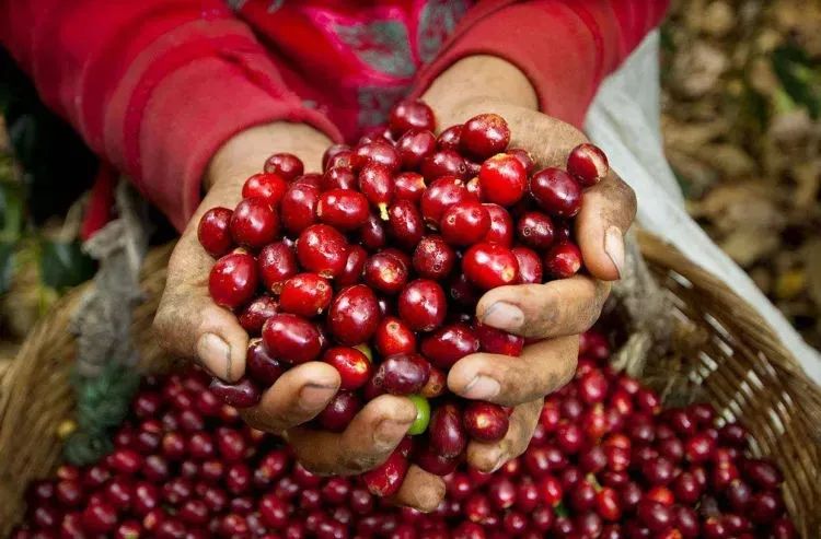 云南旅居最理想的避寒地方,云南适合旅居的小众古镇
