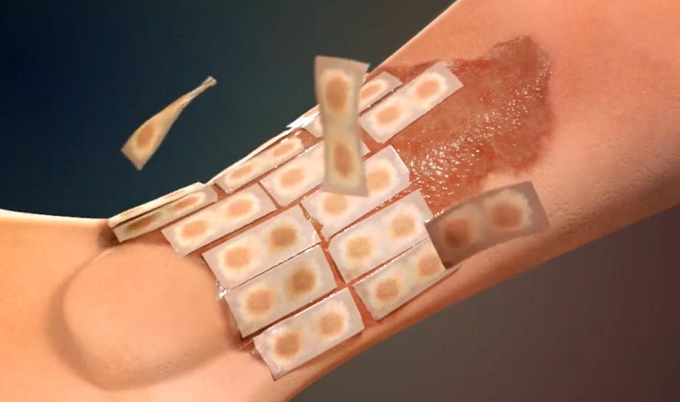 人造人体所有器官未来有可能吗,人造器官心肝脾肺肾脏