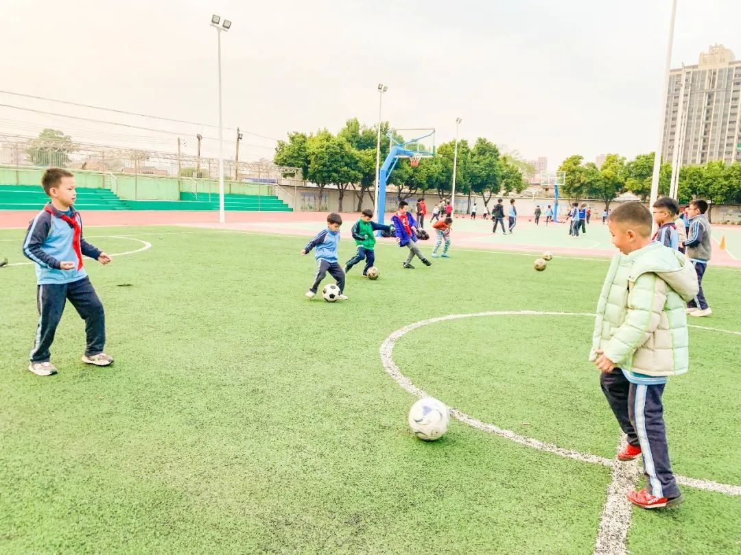 东莞市塘厦镇林村小学校园,东莞市塘厦镇林村小学