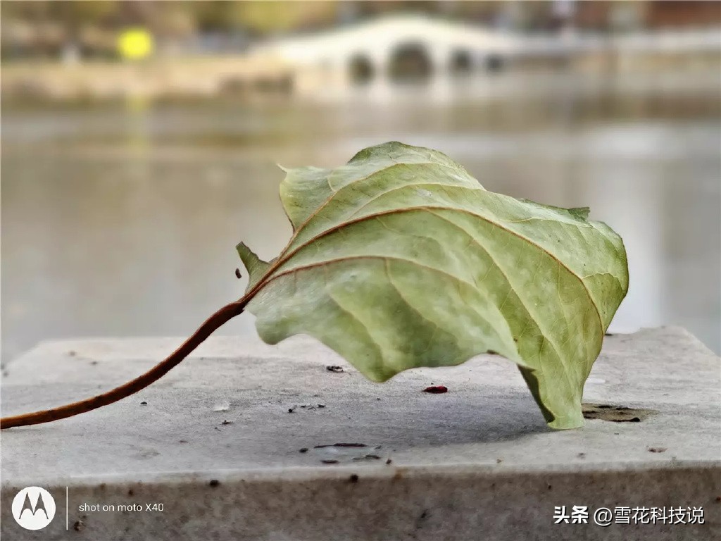 motox40最新测评,motox40真实缺点