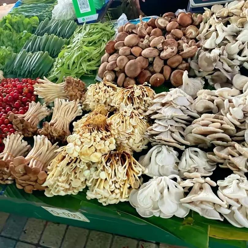 来西双版纳感受夏天,北方人去西双版纳生活真实感受