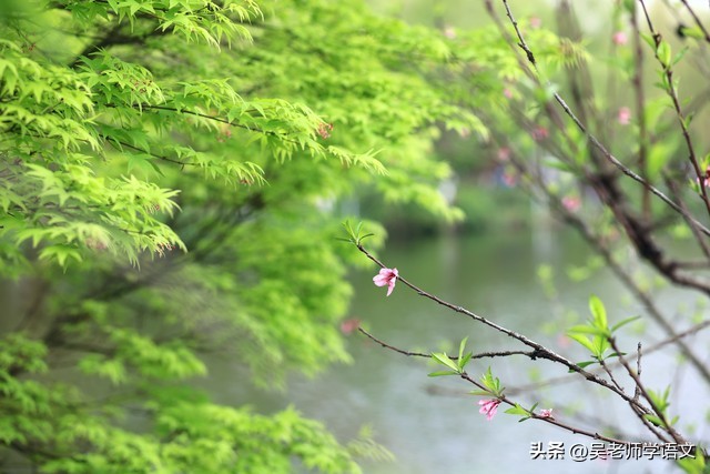 飞花令烟波江上使人愁,带有愁字的古诗名句飞花令