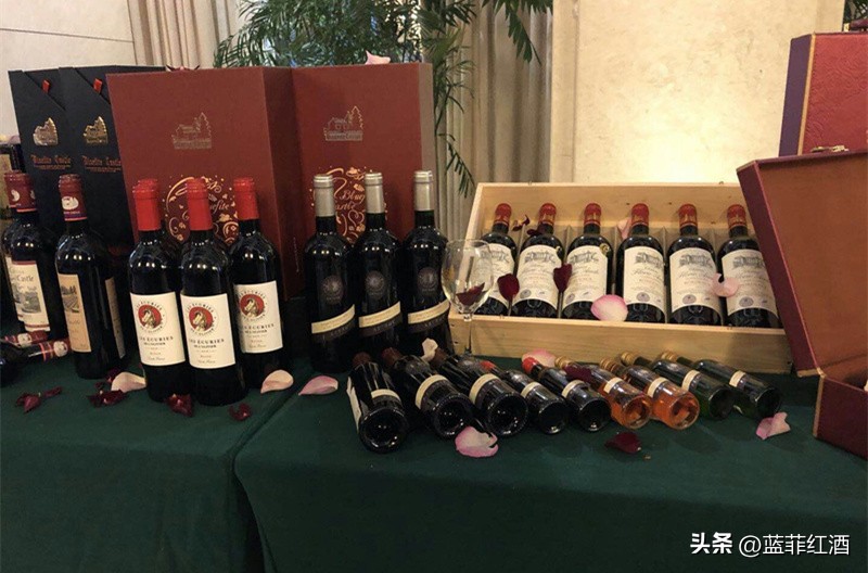 法国红酒招商加盟代理,贺兰山红酒代理加盟