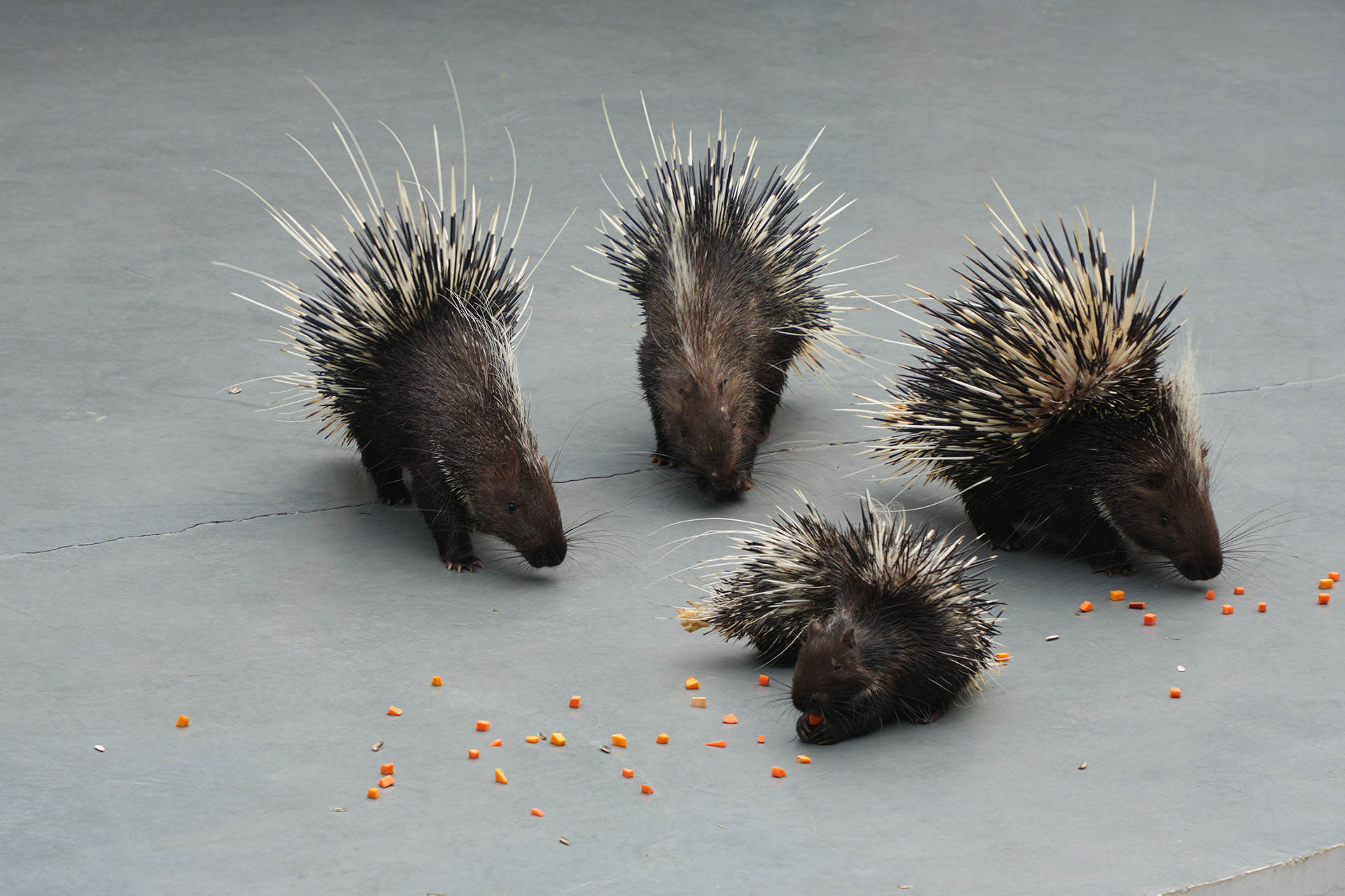 河南焦作一日游最佳路线图,河南焦作云台山游记