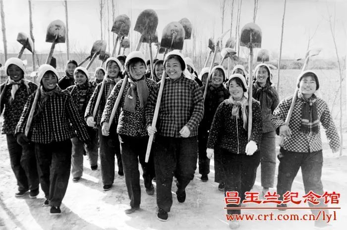 玉兰花开时，我们怀念她——闻名全国的劳动模范、农村里走出的省委书记……