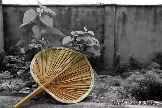 40度进不了高温排行榜,40℃已进不了全国高温排行榜