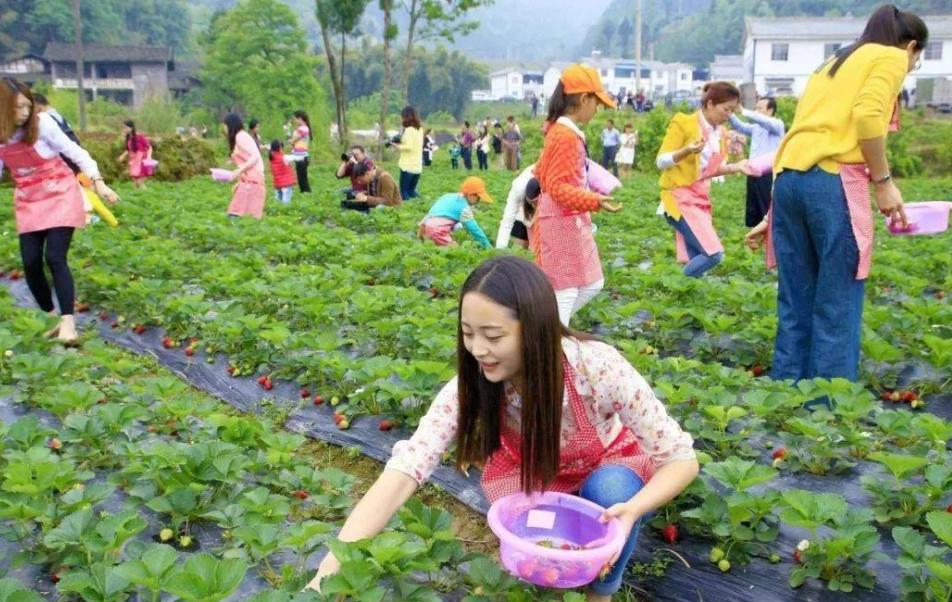 打工潮在逐渐消失的原因,打工潮消失了吗