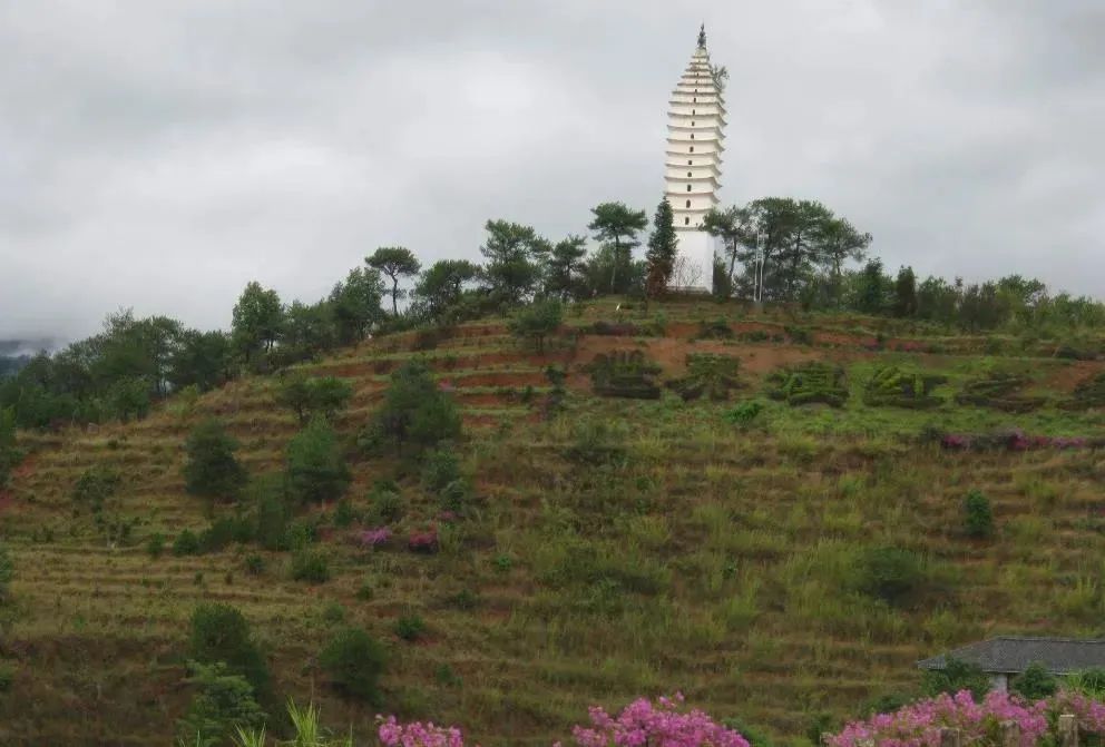 凤庆县经典滇红茶,高山滇红一级凤庆红茶250g多少钱