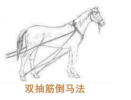 兽医临床诊断学名词解释,兽医临床诊断学教学视频