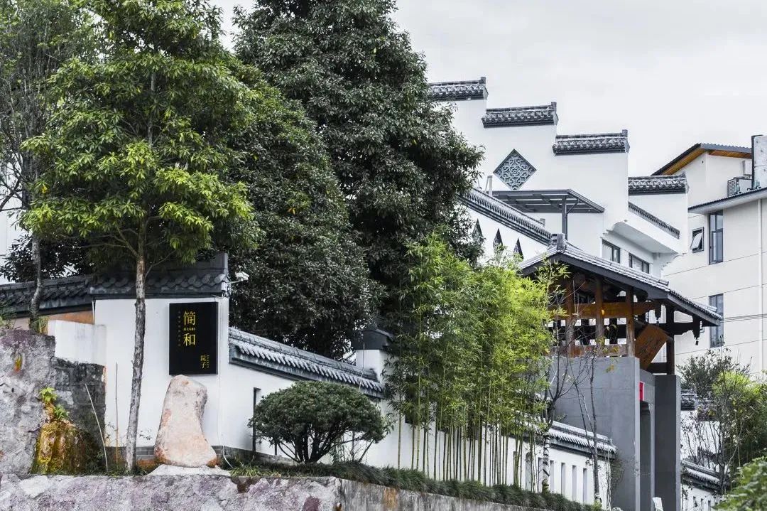 武夷山隐藏在大山里的世外桃源,武夷山景区和茶区