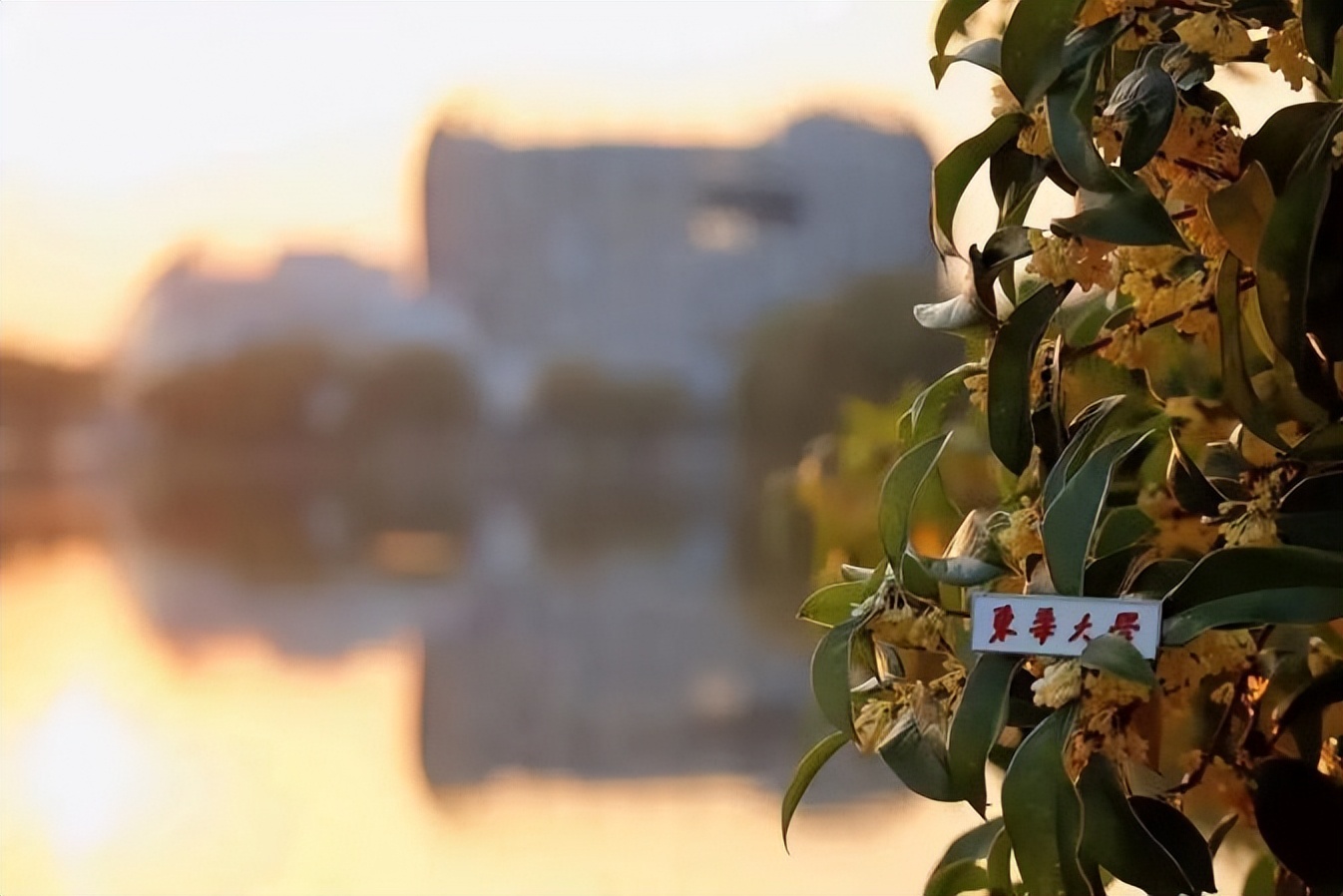 国务院新闻办公室发布！这一领域再获关注，上海一高校多个专业100%就业！