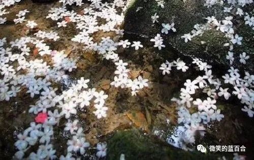 沉淀岁月过往，升华来日方长