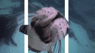 电脑cpu温度高的图片,电脑cpu温度对照表