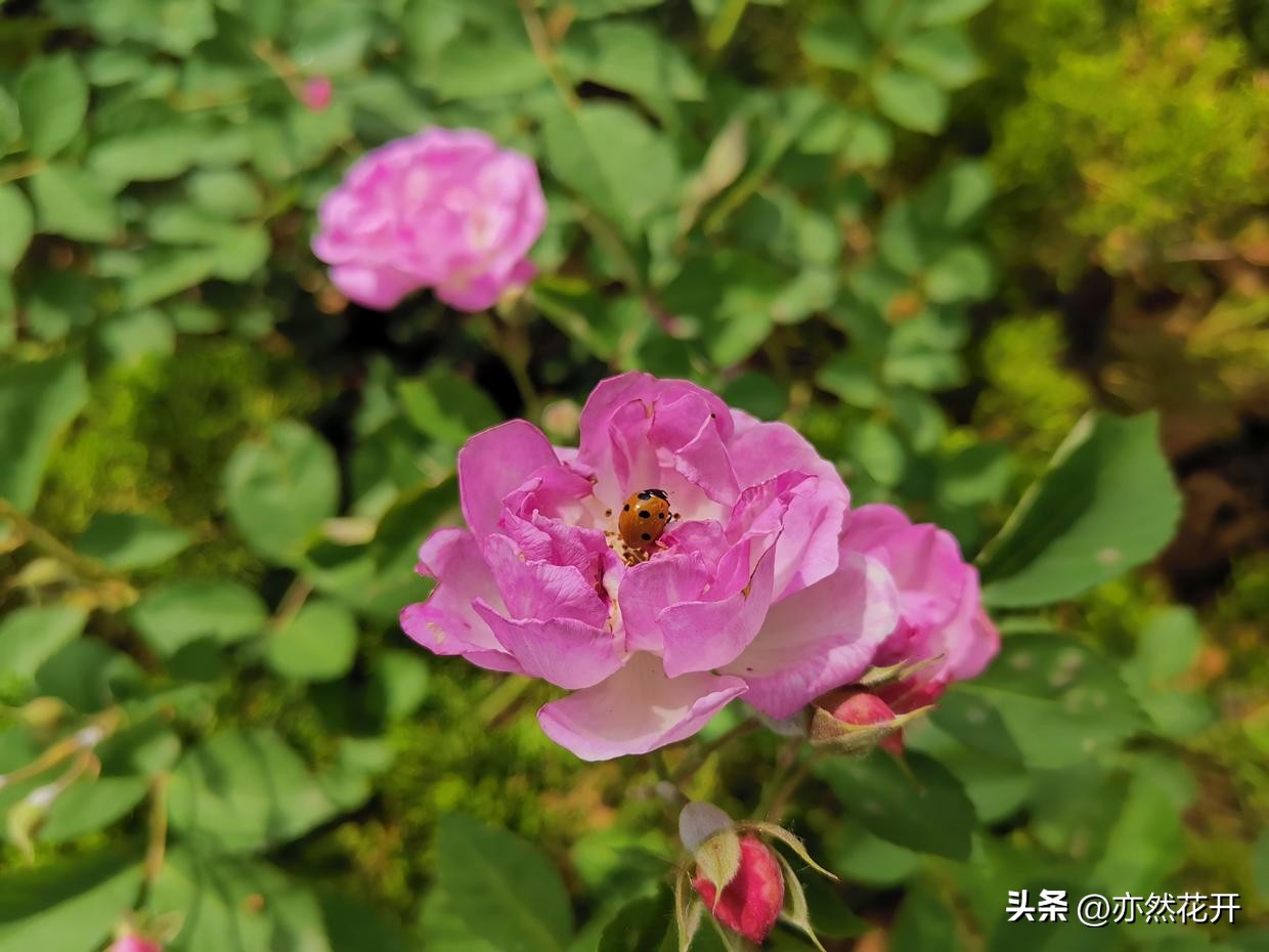 领导讲话稿怎么写才有效的,工作会领导讲话稿写作