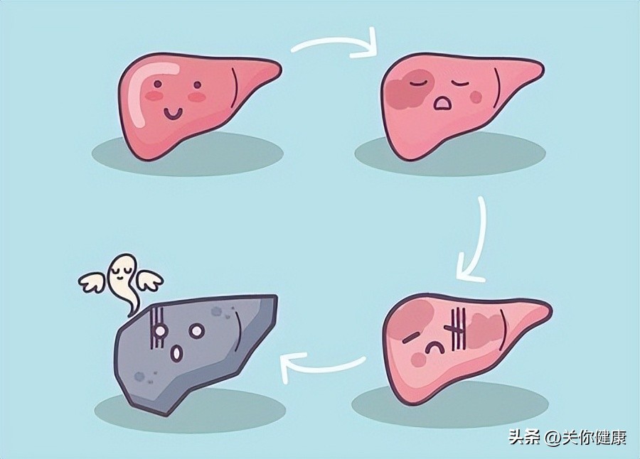 肝功能各项指标解读,肝功能的指标的解读