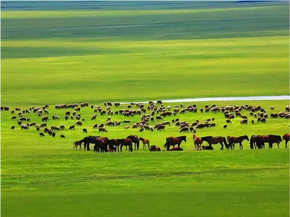 为什么说东北是少数民族的发源地,历史上东北的少数民族最厉害