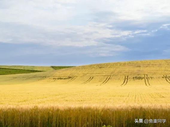 2023年是黑兔有什么说法,2023年黑兔遇上闰二月有什么说法