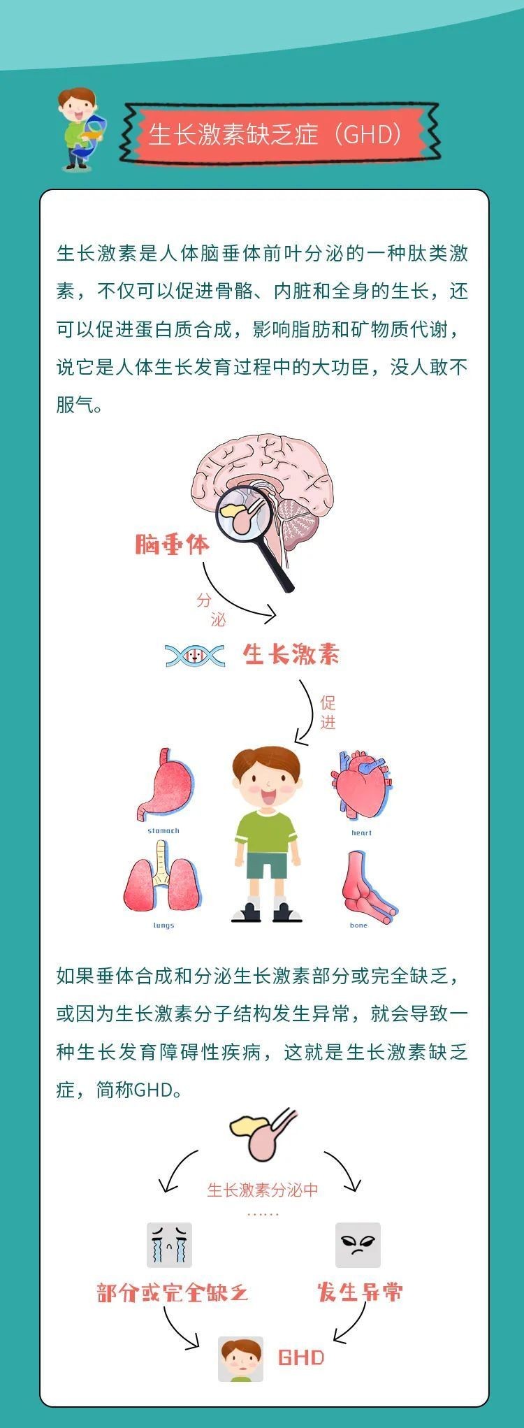 一代球王梅西的成长之路,世界球星梅西