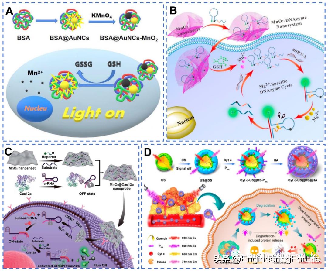 纳米材料抗肿瘤药物怎么用,新型纳米材料治疗肿瘤