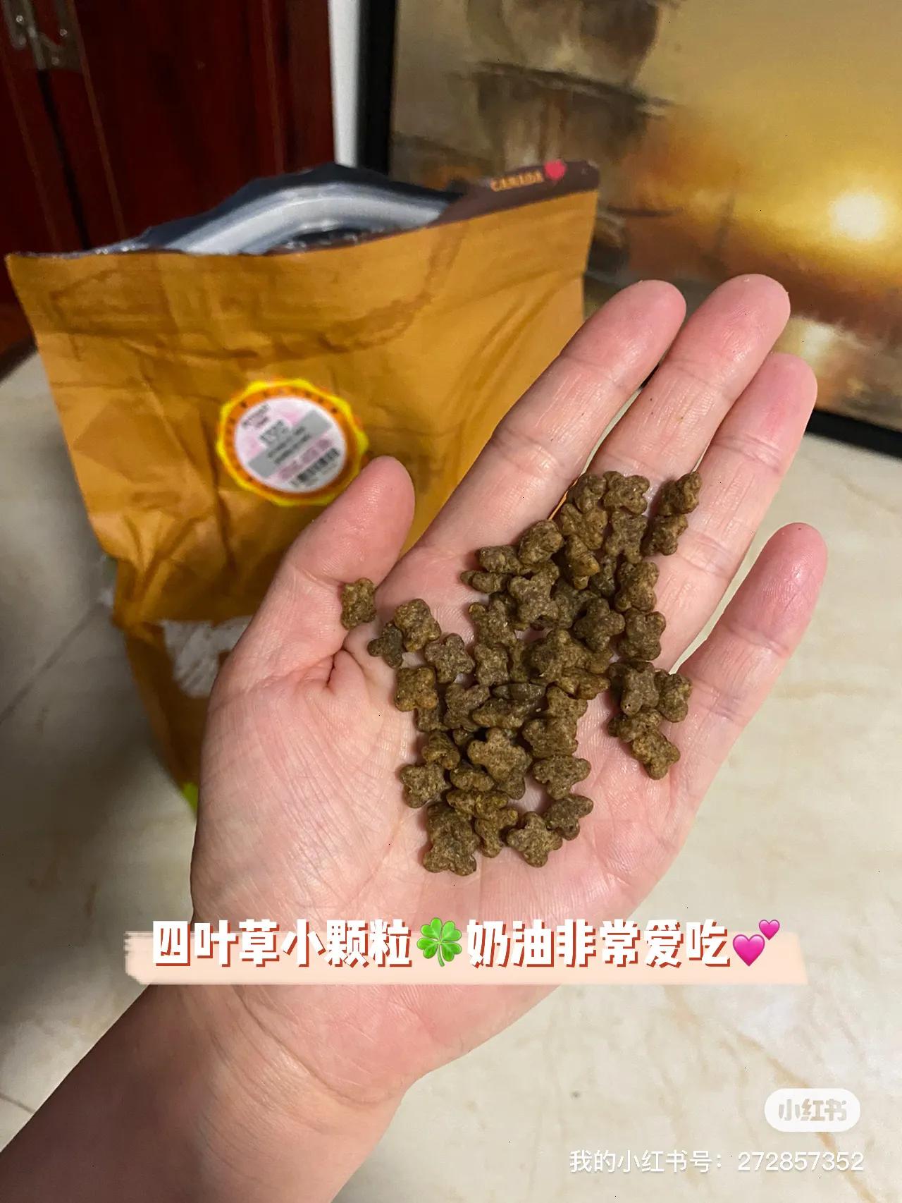 比熊犬去泪痕最好的方法,比熊犬怎么去除耳螨