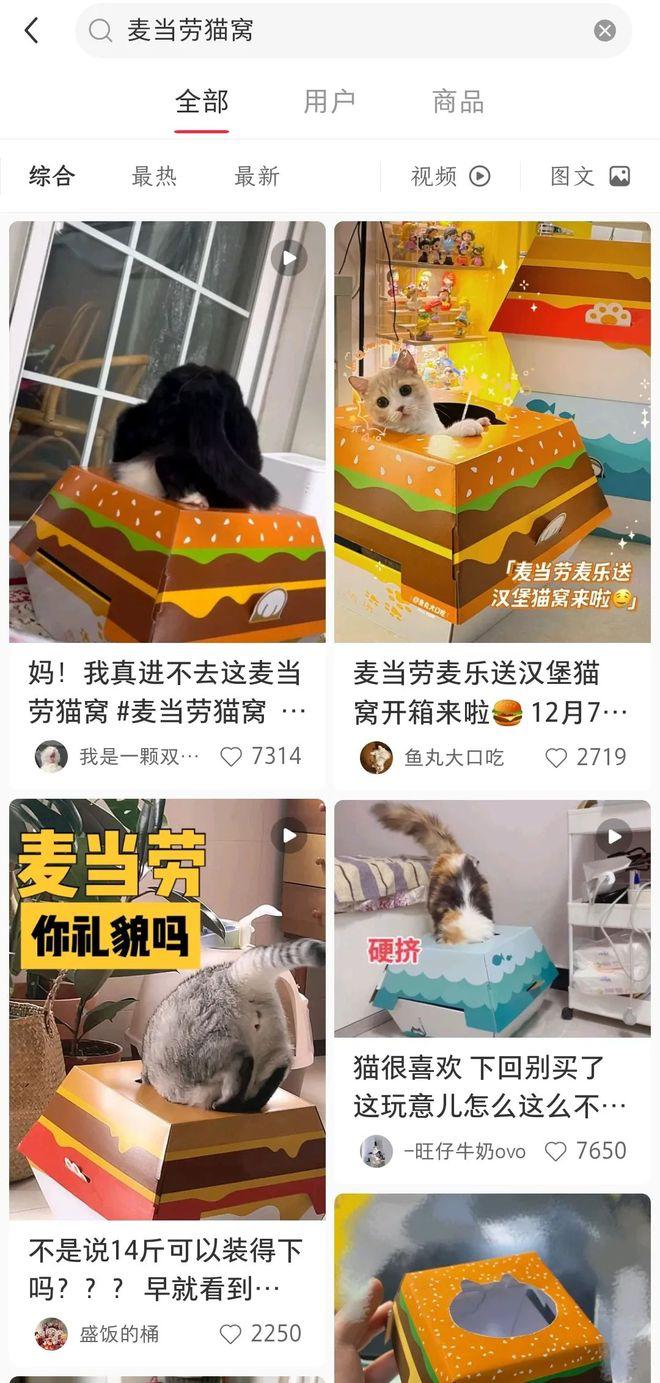 肯德基一鸭难求排队,肯德基一狗难求