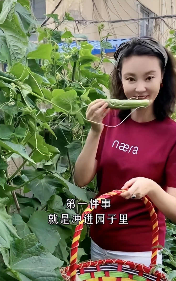 央视最美女主持42岁婚姻成谜,她是央视最漂亮主持人婚姻坎坷