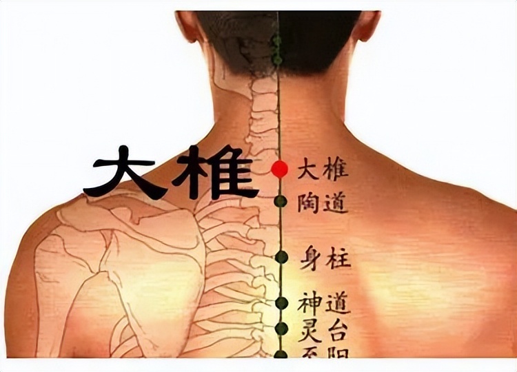 遵节循气|*光春**为礼，花开为信