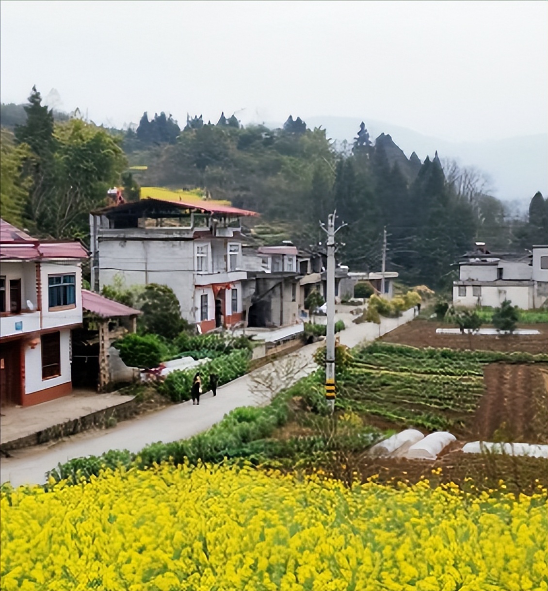 4个不起眼的致富门路是什么,发财致富门路有哪些