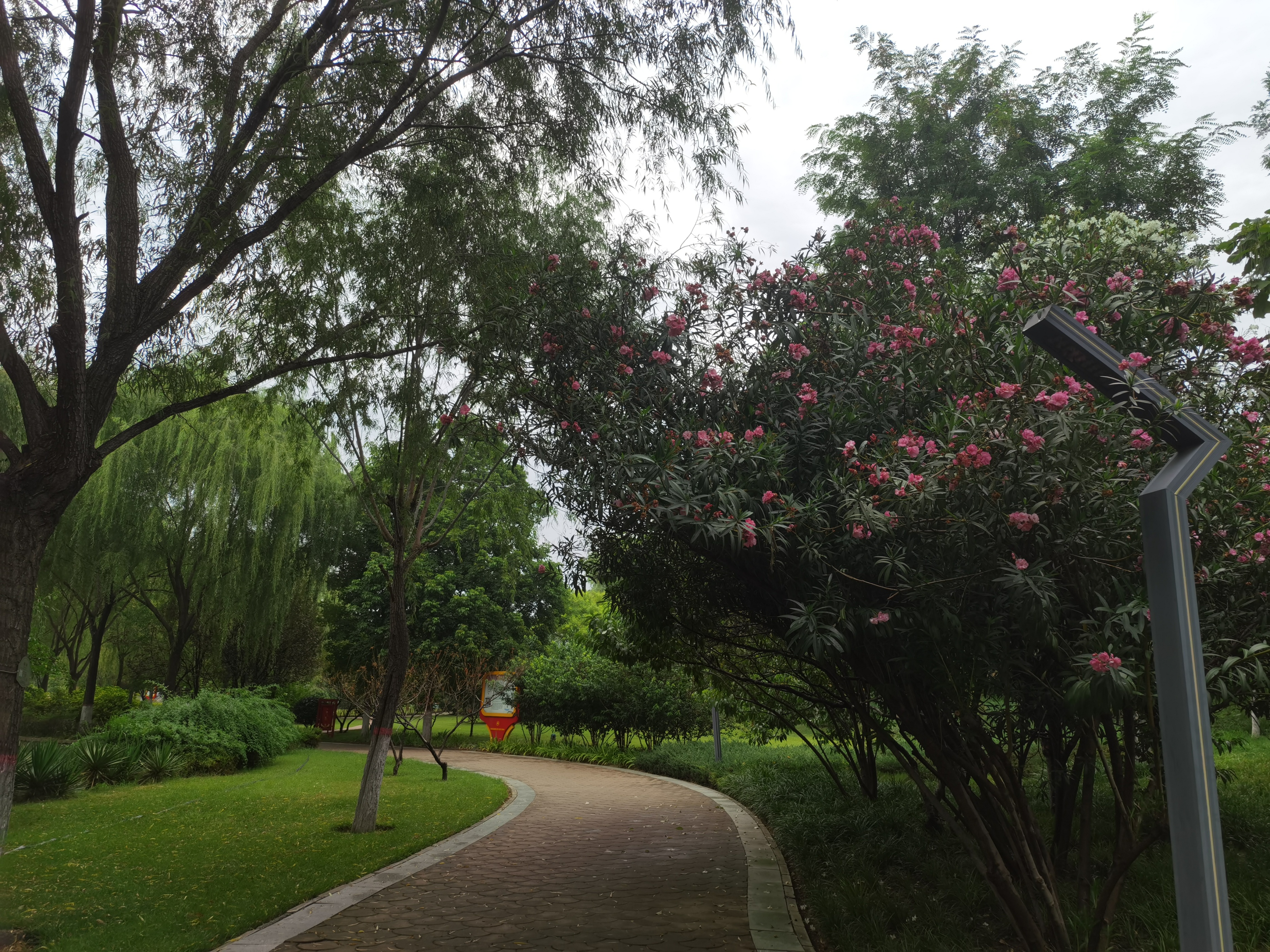 寻夏雨荷,寻找夏雨荷的景点