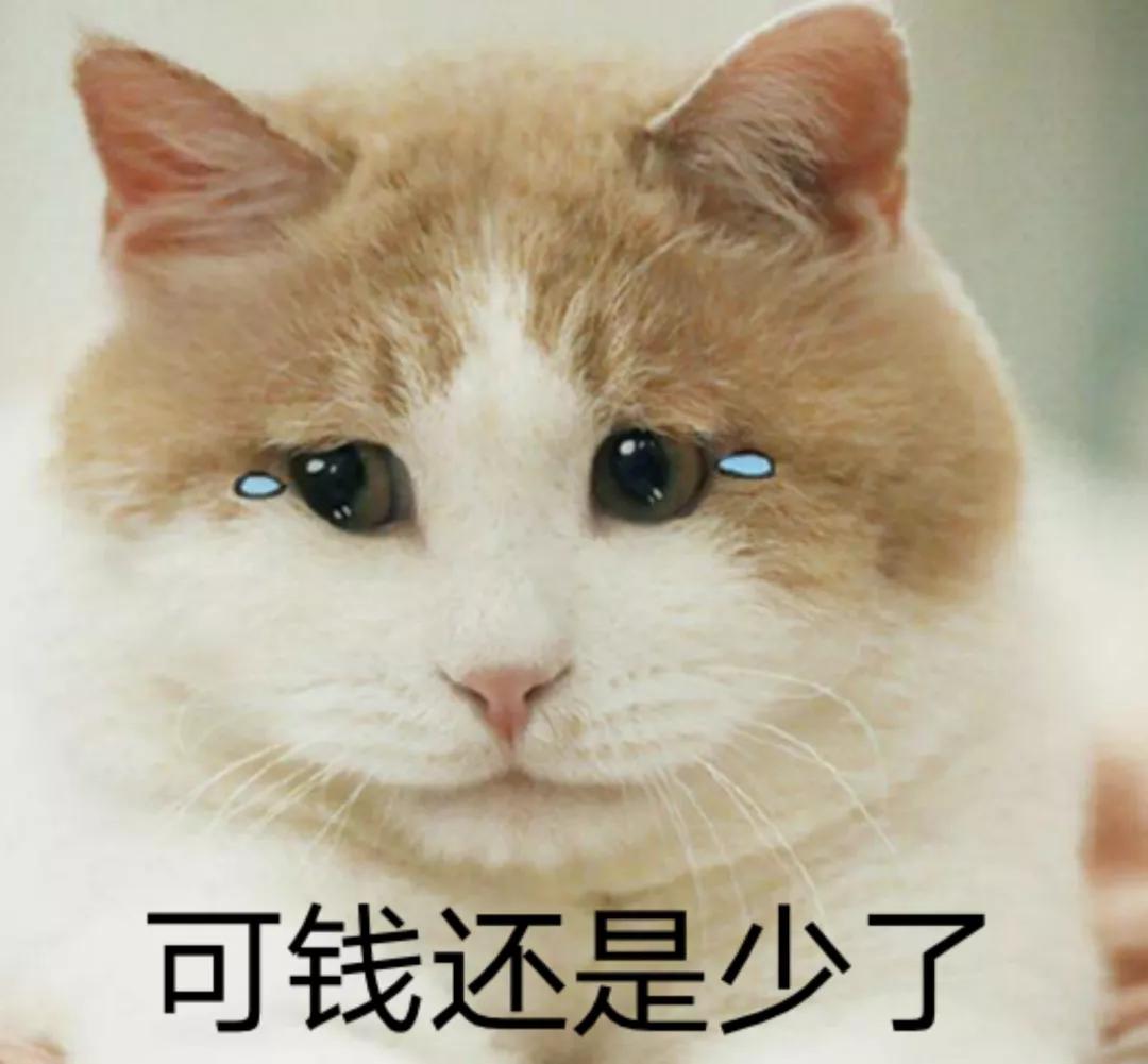 余额宝的收益能升级吗,余额宝收益的利息会变化吗