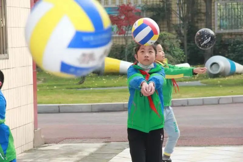 成都市双流区永安小学排球,九江市小学暑期托管