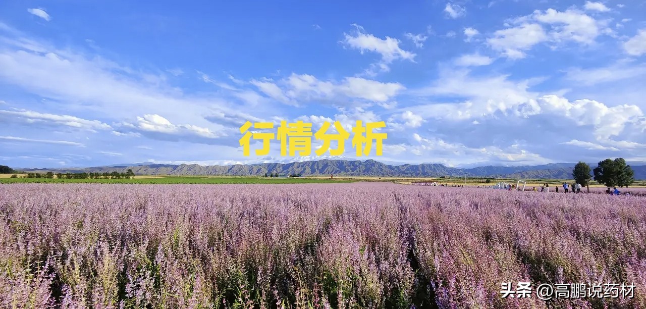 近期中药材价格暴涨对产业的影响,近期中药材价格上涨原因分析