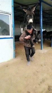 今日动图：前不久交了一位女朋友，昨天晚上约会时忍不住吻了她