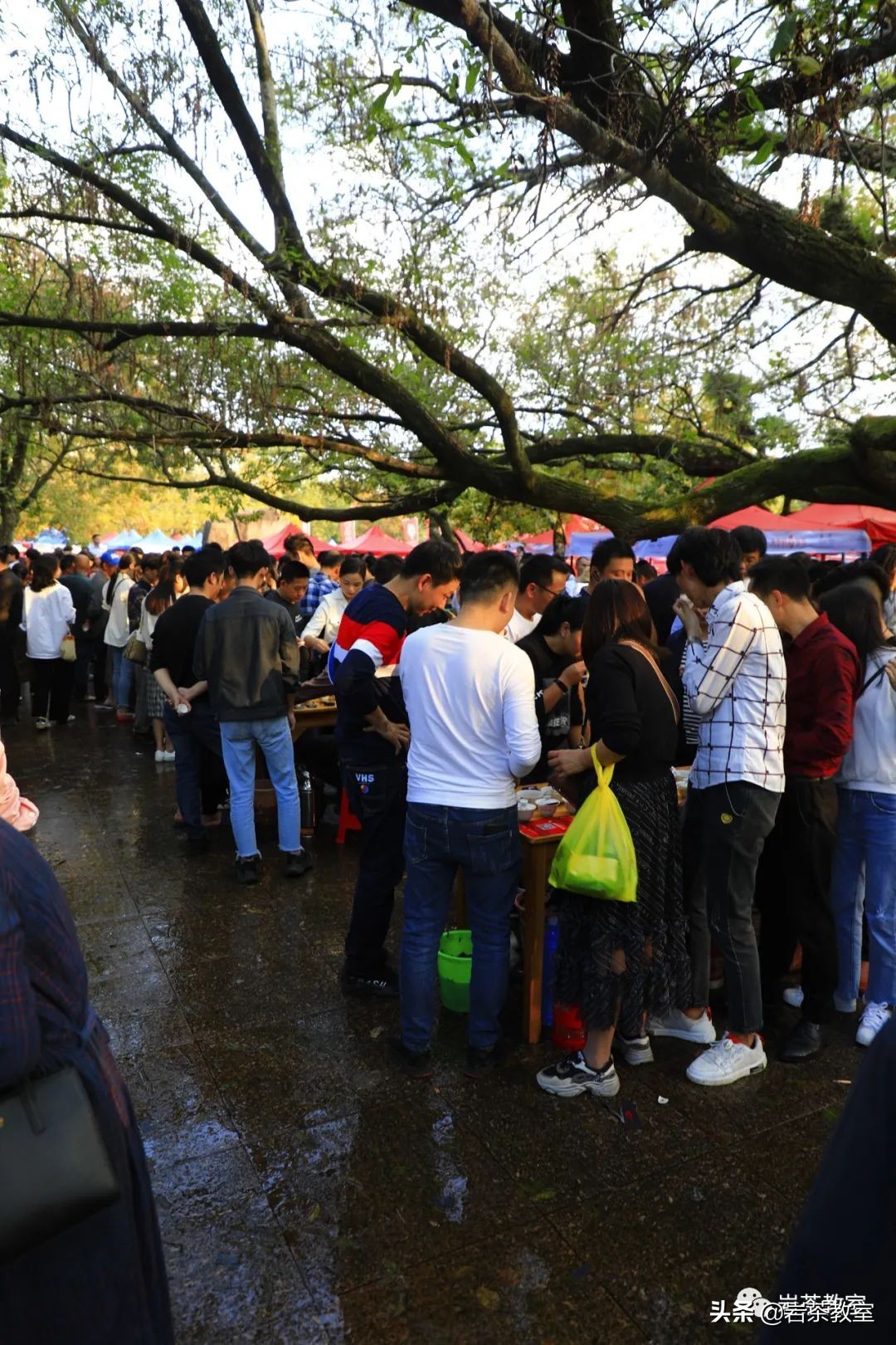 岩茶焙火重喝了会不会上火,喝岩茶真的会上火吗