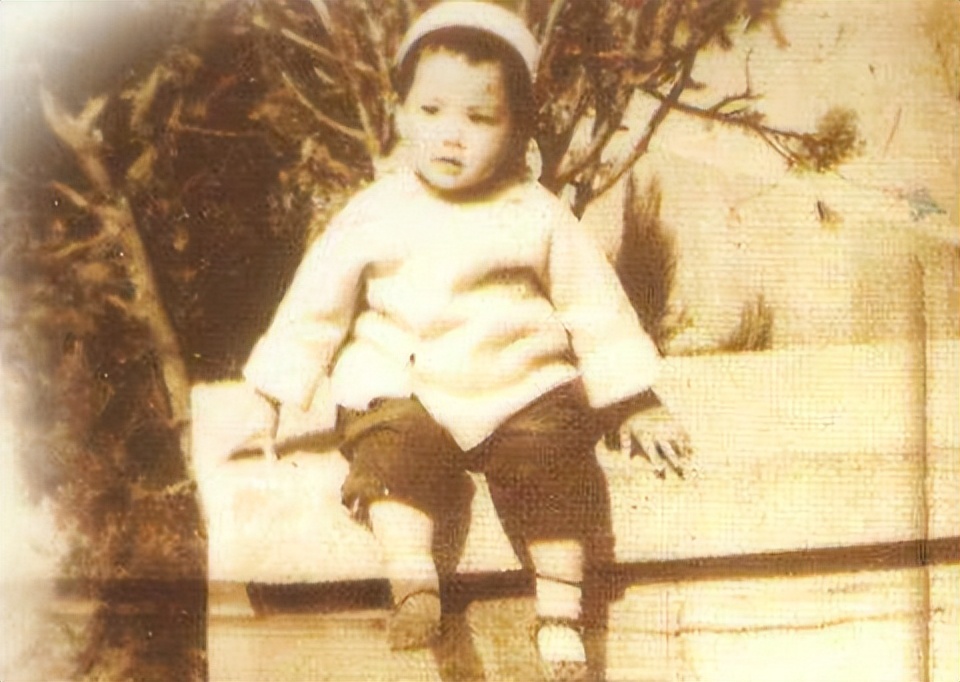 谢霆锋王菲朴树窦唯周迅李亚鹏,王菲谢霆锋李亚鹏周迅窦唯关系图