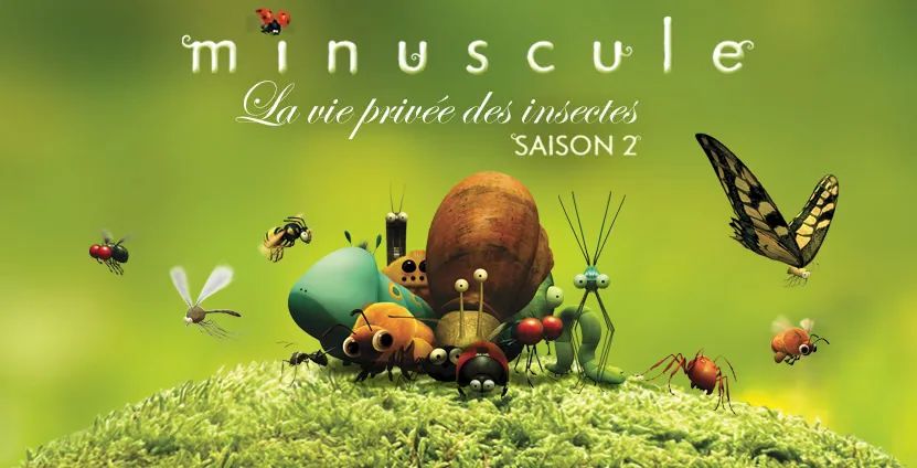 9-10岁早教启蒙动画片推荐,幼儿英语启蒙早教3-6岁儿童动画片