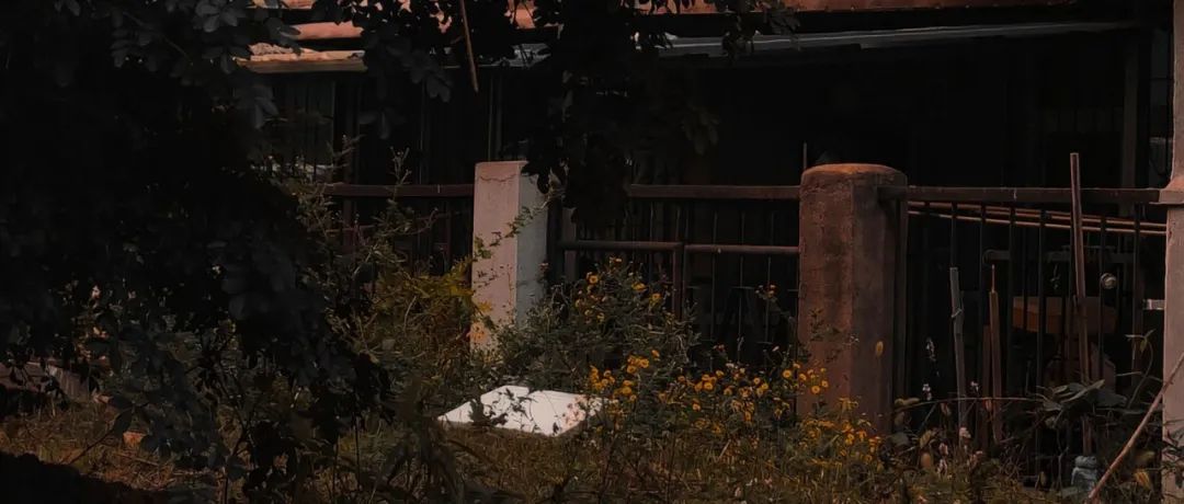 这样谈恋爱一定很有趣,怎样谈恋爱才不会太腻