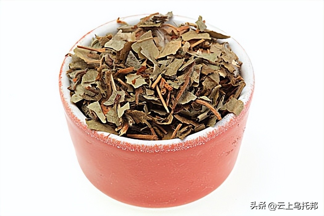 缇庢床浼犵粺鍖诲,鍙や唬缇庢床鎬庝箞娌荤梾