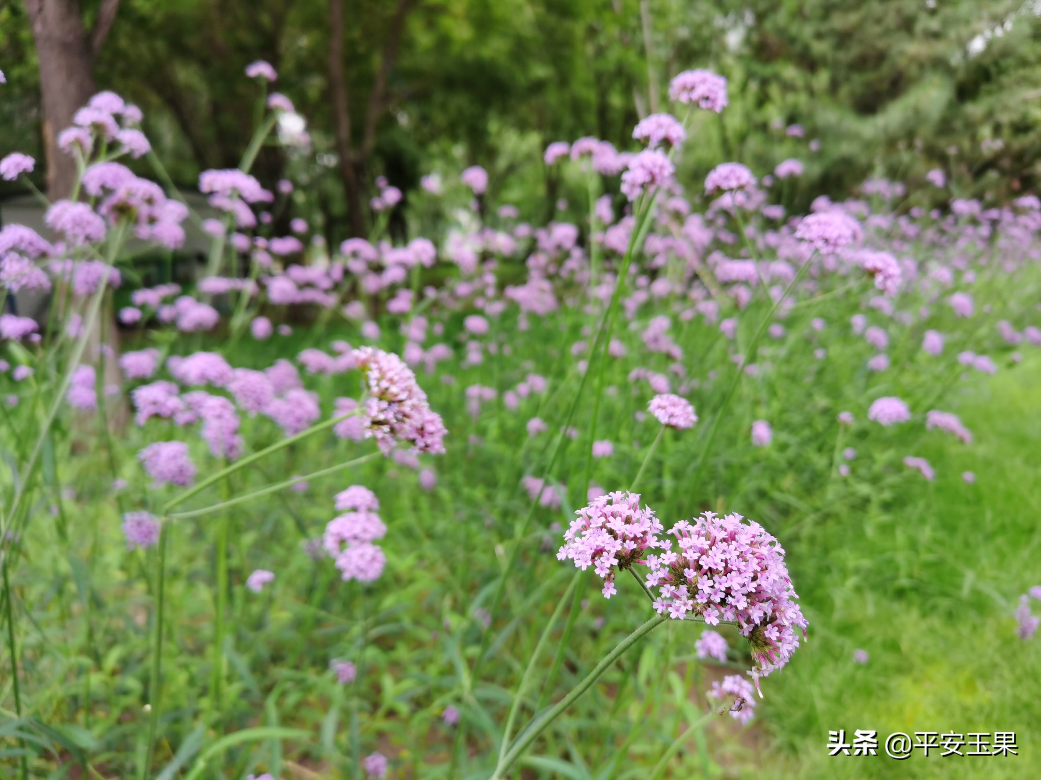 “洁女”第一天骑车侧记