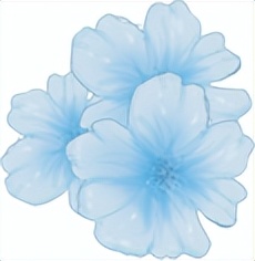 高考生体检结果怎么查,2023年高考体检结果在哪查