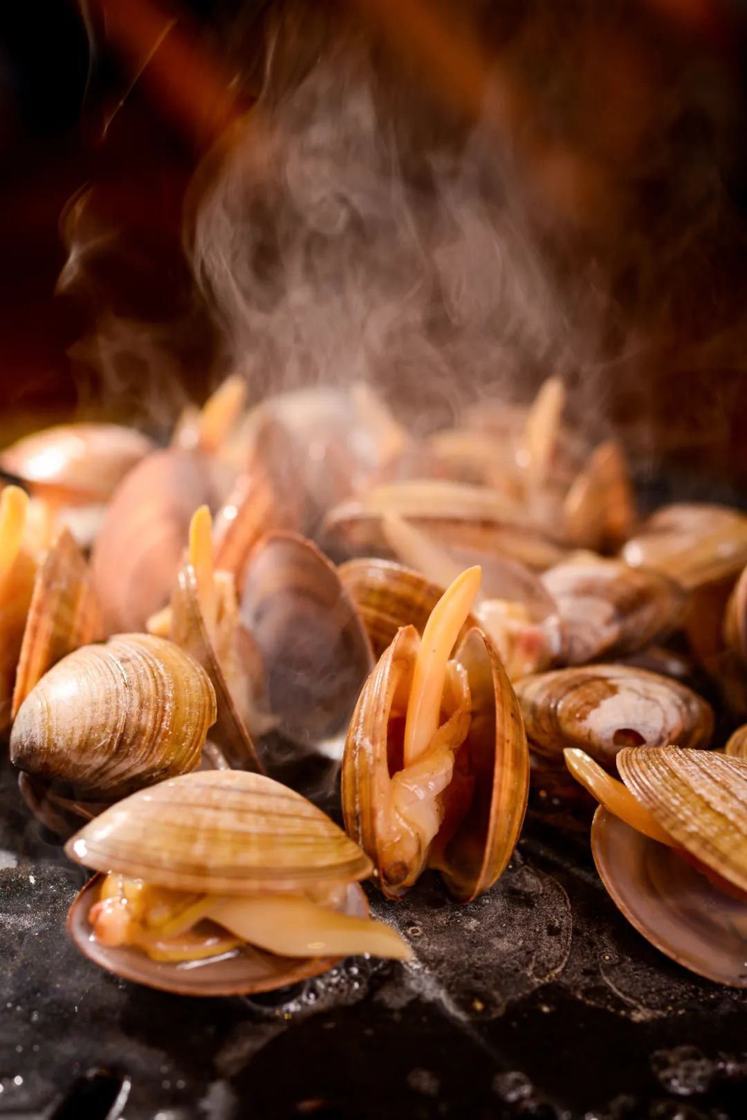 在这座隐藏的海鲜大城，人均黄蚬子自由