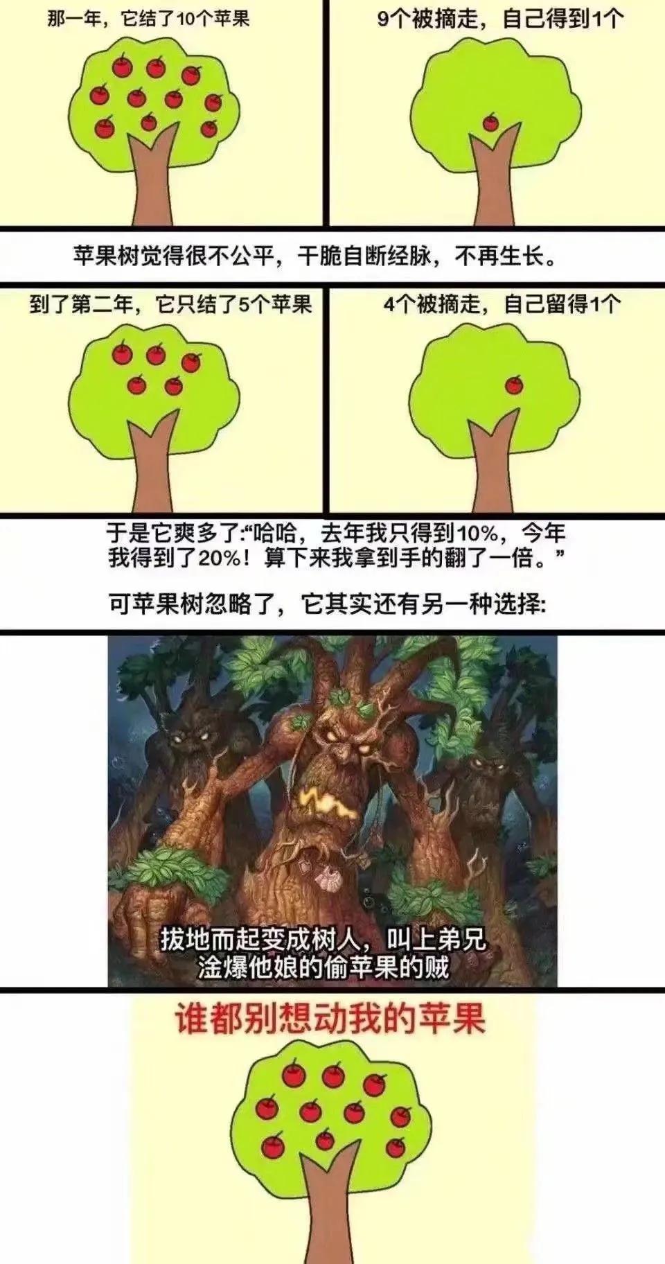 火影手游搞笑沙雕图,熊出没沙雕搞笑p图