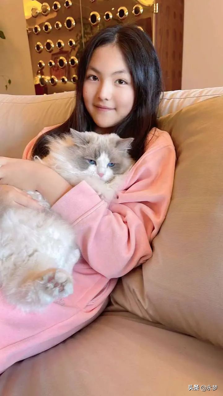 13岁，顶级Alpha，阿姨们都在等他出道