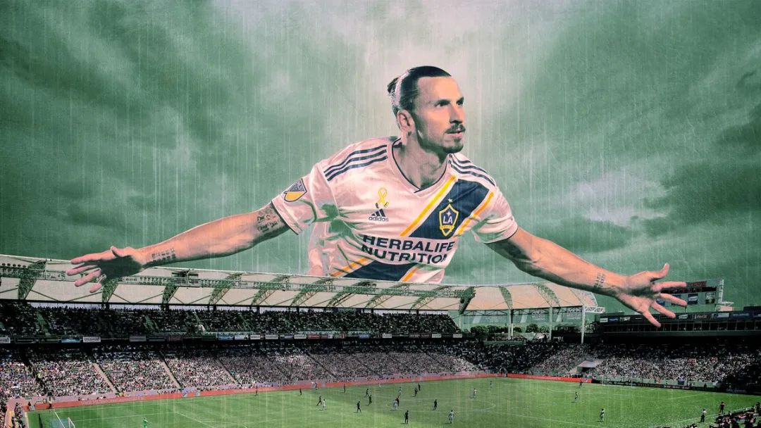 相爱20年不结婚，这对姐弟恋火了！网友：一物降一物，孤狼配悍妇