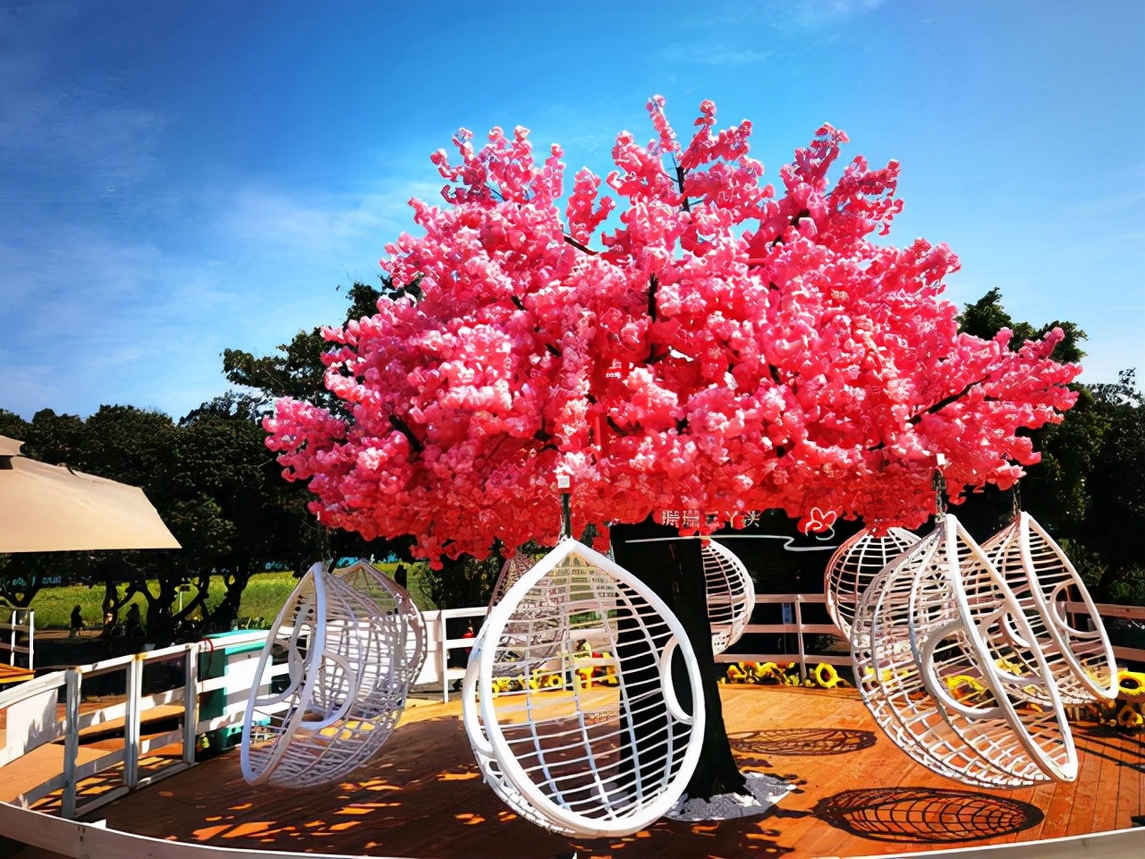 都市农业公园广州,广州农业公园近况