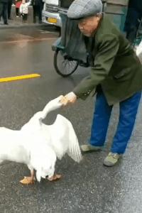 女孩子看起来外表美丽，其实裤袜已经掉到大腿根了！哈哈哈