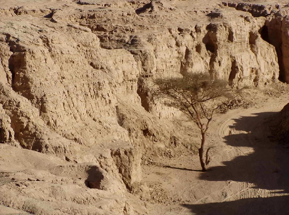 马里卜大坝,马里卜水坝的地位