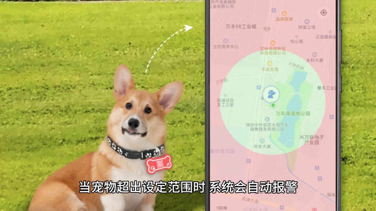宠物防走丢gps,狗狗猫咪防走丢追踪器